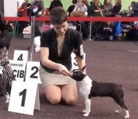 17156288 1616714031677723 3559887948918371502 n