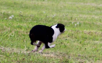 18425106 1703596569656135 4082798672108452558 n