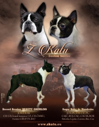 z-katu