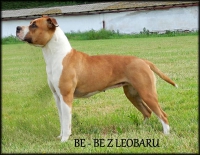 Frdlant_003_mal
