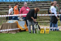 1DSC_0923