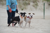 1DSC_1581