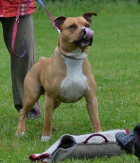 DSC_0727