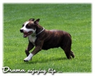 Drama Katcha´s Jacket