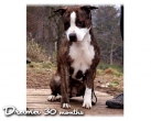 Drama Katcha´s Jacket