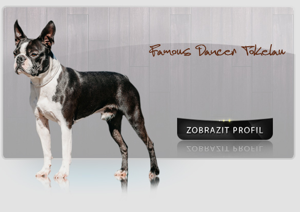 iko famous dancer