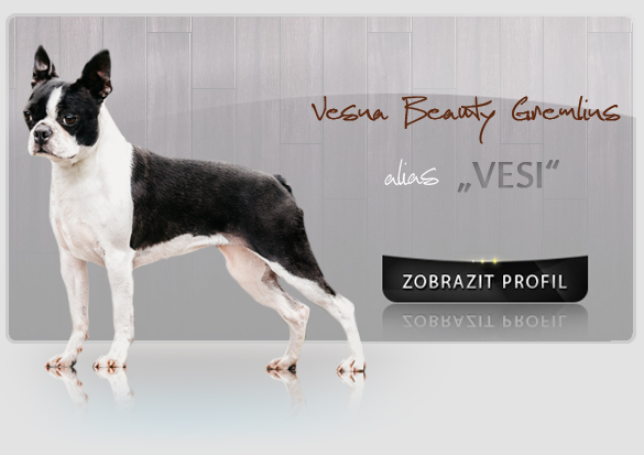 iko vesi