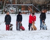 Sraz: Kamila Baborov, Eva Bendov, Alena Hol, Leona Batalov, Zuzana Motejlkov